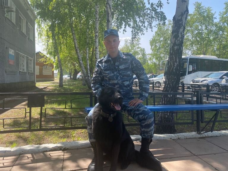 Служебный пес помог раскрыть кражу двух баранов в Завьяловском районе